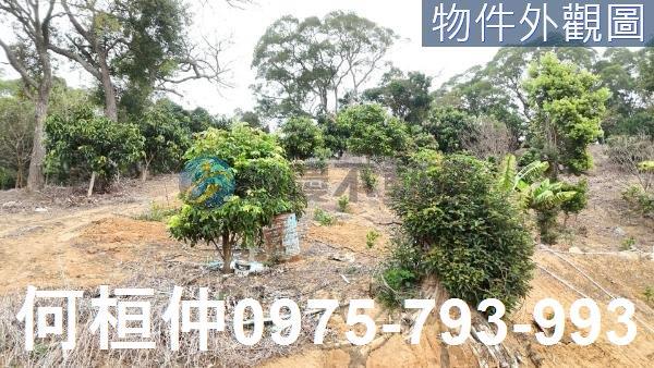 苗栗通霄農地-3