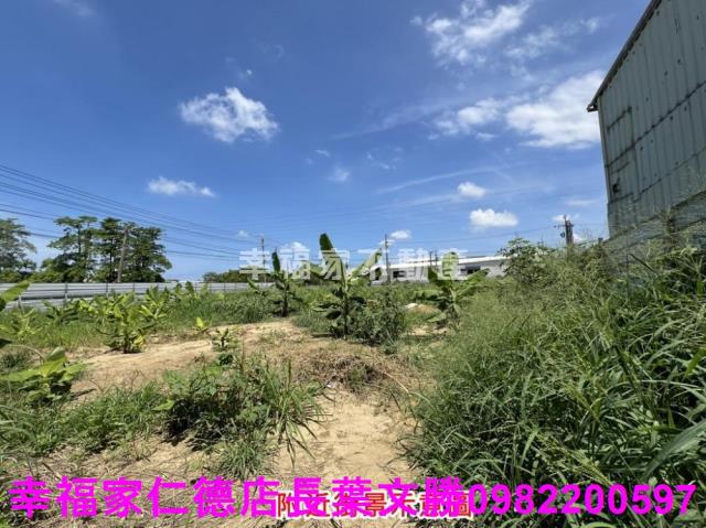 仁德農地-5
