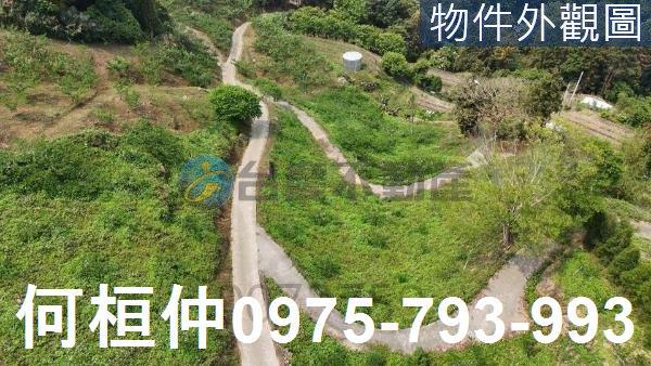 大湖農地-1