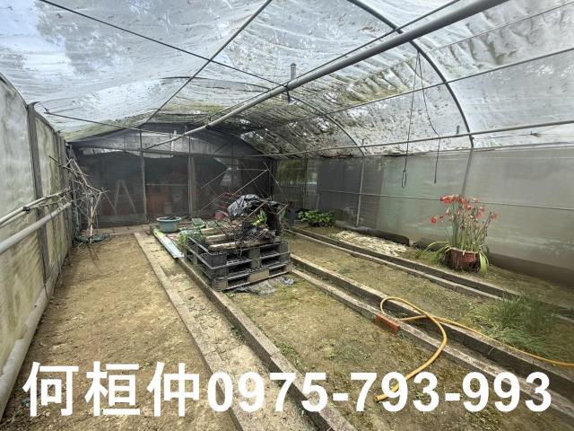 通霄農地-9