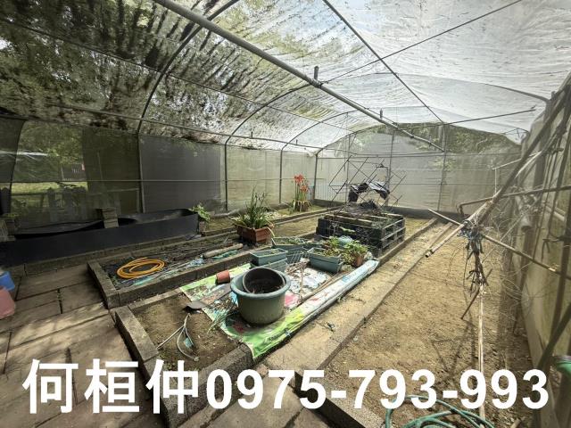 通霄農地-7