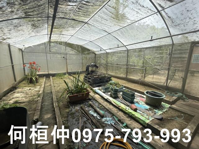 通霄農地-8