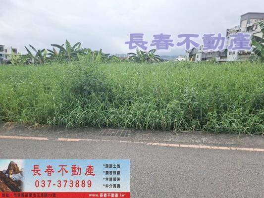 8F010苗市莒光農地