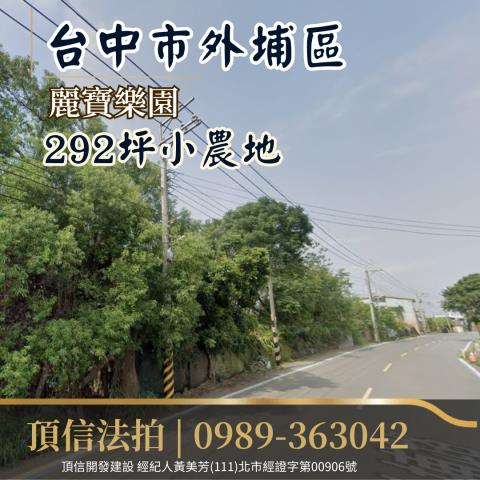 法拍台中外埔麗寶樂園農地