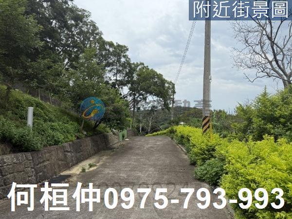 通霄農地-2