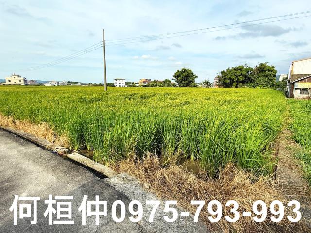 公館農地-10