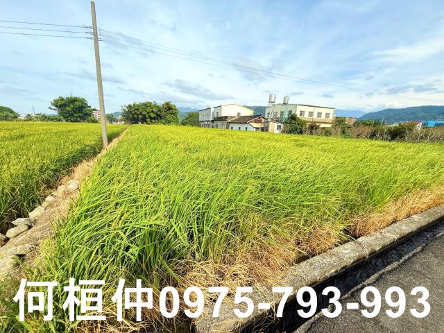 公館農地-4