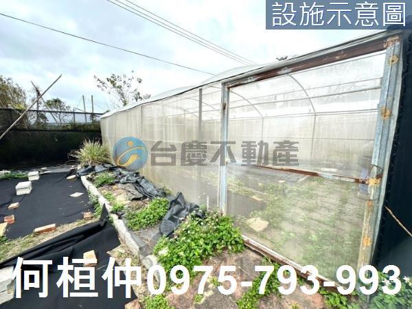 通霄農地-7