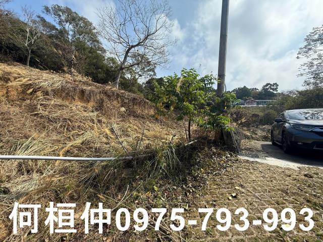 通霄農地-9