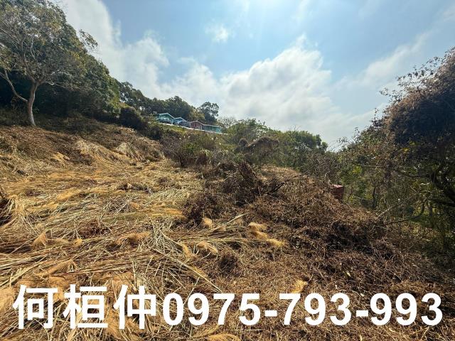 通霄農地-10