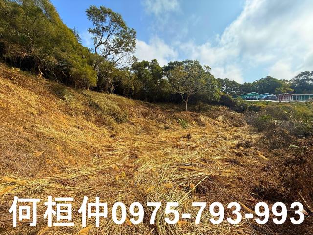 通霄農地-0