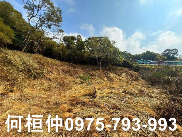 通霄農地-2