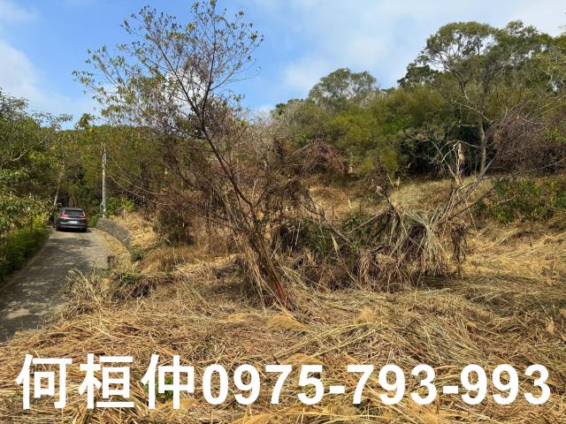 通霄農地-3