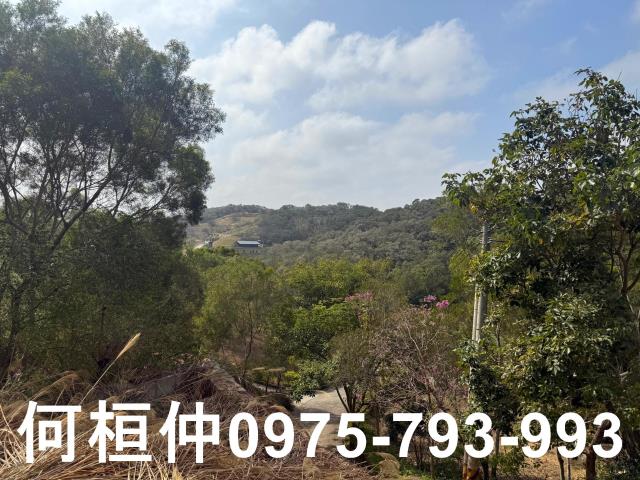 通霄農地-5