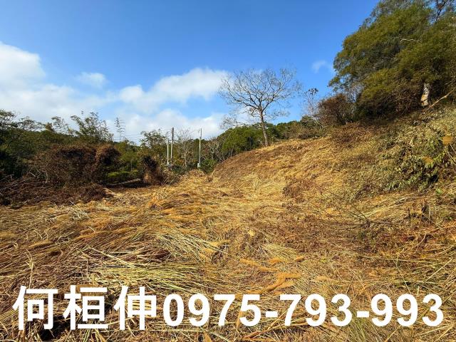通霄農地-6