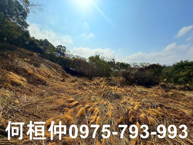 通霄農地-7