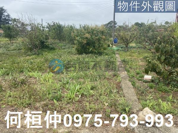 通霄農地-0