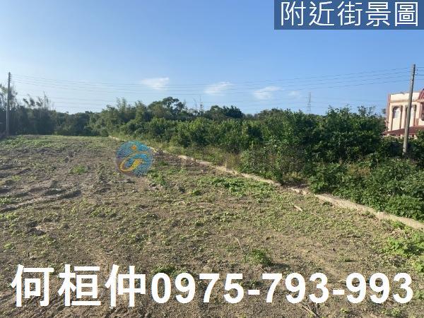 通霄農地-2