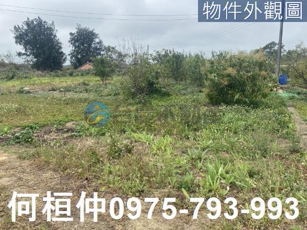 通霄農地-3