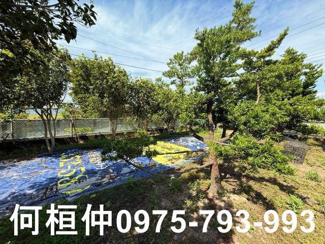 公館農地-9