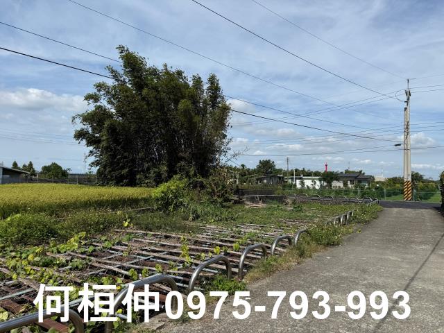 公館農地-13