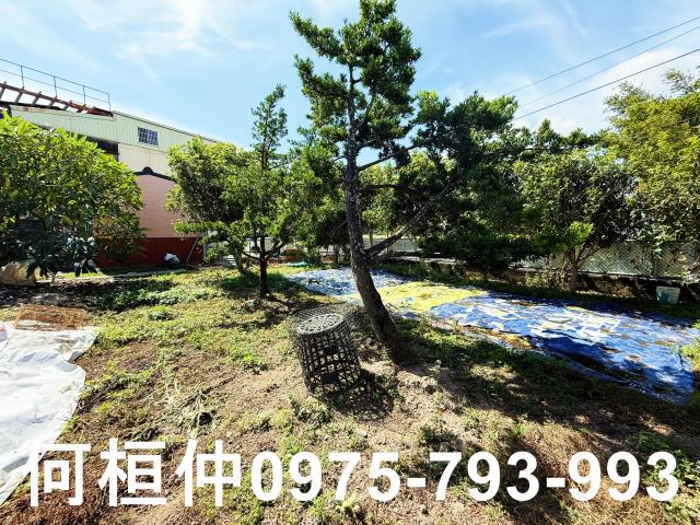 公館農地-6
