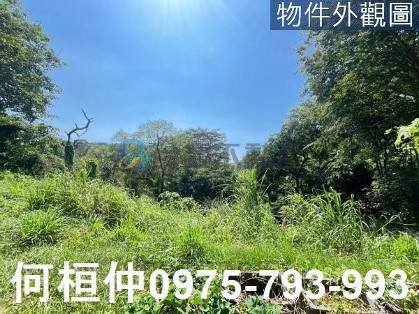 通霄景觀地