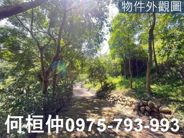 通霄農地-1