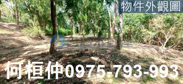 通霄農地-2