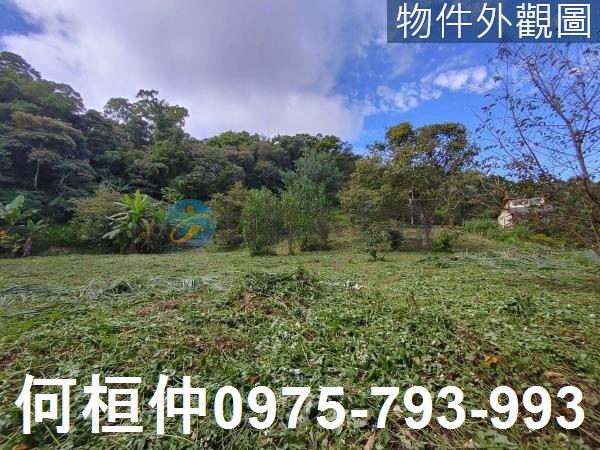南庄農地-1