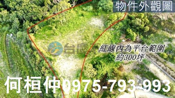 苗栗縣西湖休閒地苗栗縣西湖農地