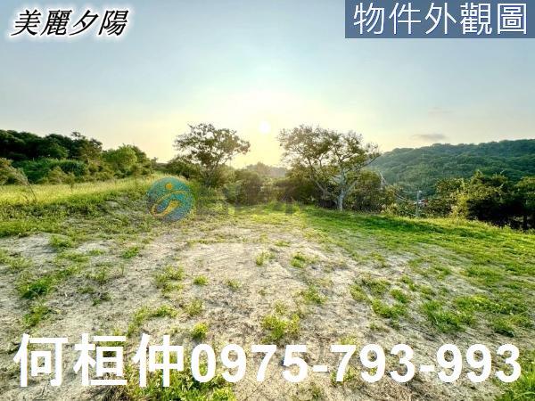 西湖農地-4