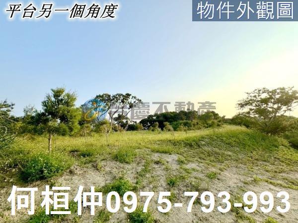 西湖農地-5
