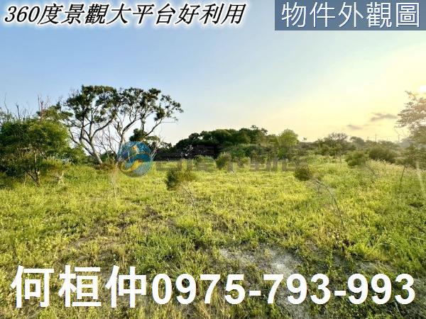 西湖農地-6