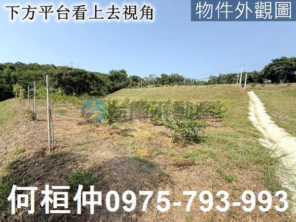 苑裡農地-6