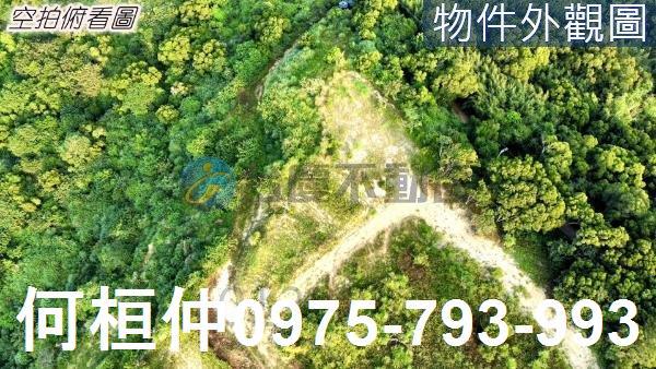 西湖農地-3