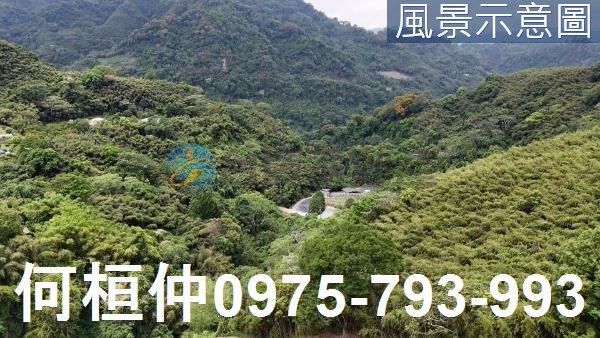 苗栗農地-1