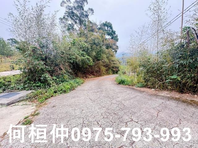 苗栗農地-9