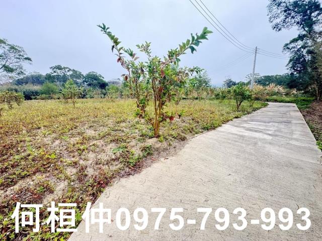 苗栗農地-10
