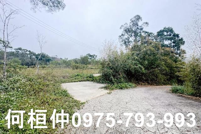 苗栗農地-11