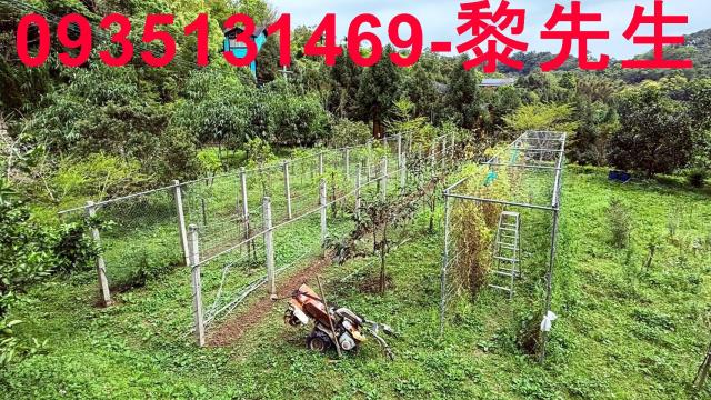 新竹峨眉農地-2