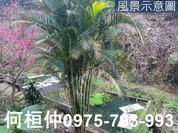 大湖農地買賣大湖土地買賣