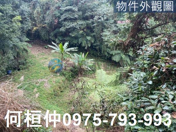 苗栗大湖農地-3