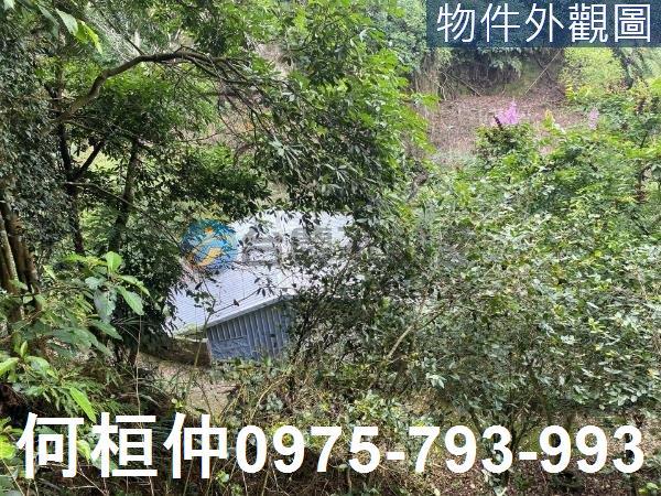 苗栗大湖農地-4