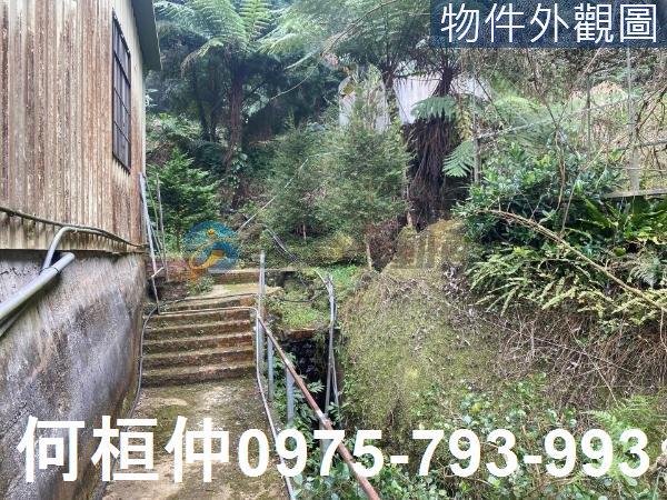 苗栗大湖農地-5