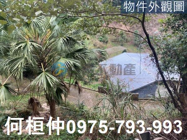 苗栗大湖農地-6