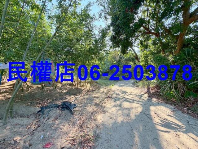 台南龍崎山坡地-13