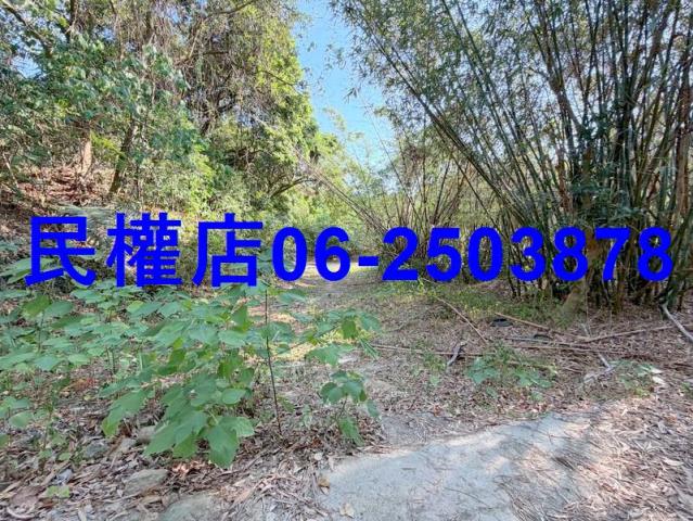 台南龍崎山坡地-4