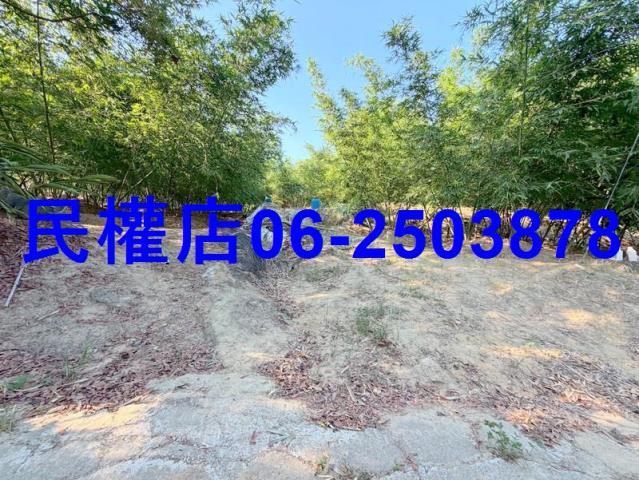 台南龍崎山坡地-11