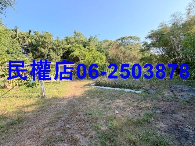 台南龍崎山坡地-6
